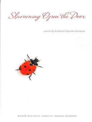 cover image of Slamming Open the Door